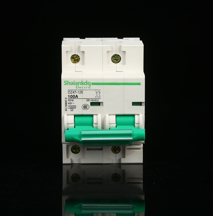 DZ47-125 100A 2P